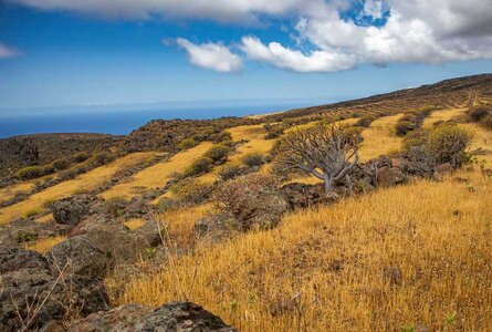 Wandern auf La Gomera | © Sunhikes