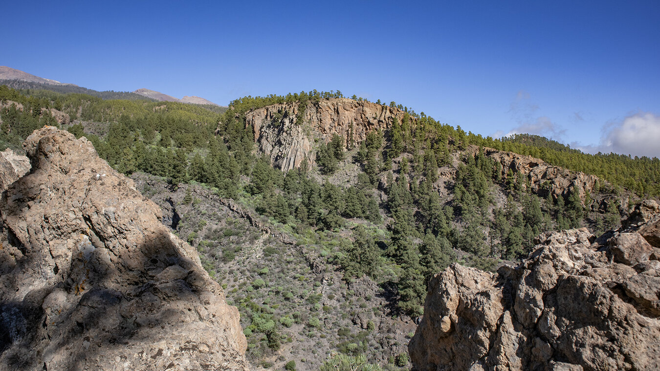 Wanderung zu den Felsklippen des Risco del Muerto im Naturpark Corona Forestal | © Sunhikes