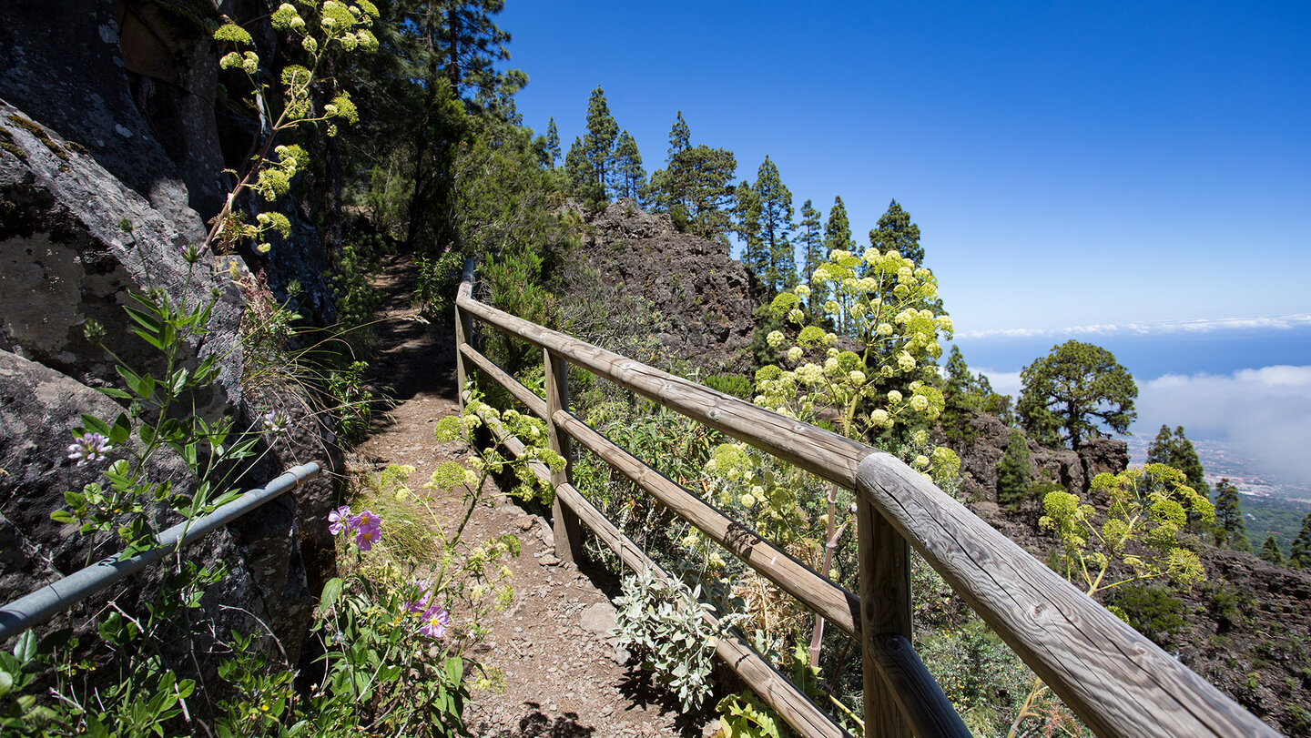 Organos-Höhenwanderweg mit Ausblicken aufs Orotava-Tal | © Sunhikes