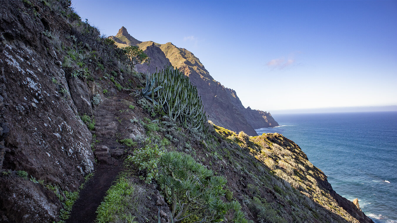 Wegabschnitt zwischen Taganana und der Playa de Tamadite auf dem Wanderweg  | © Sunhikes