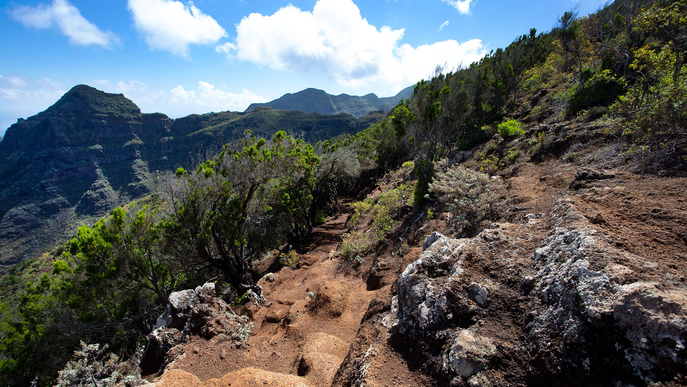 Wanderroute von Punta del Hidalgo nach Los Batánes | © Sunhikes