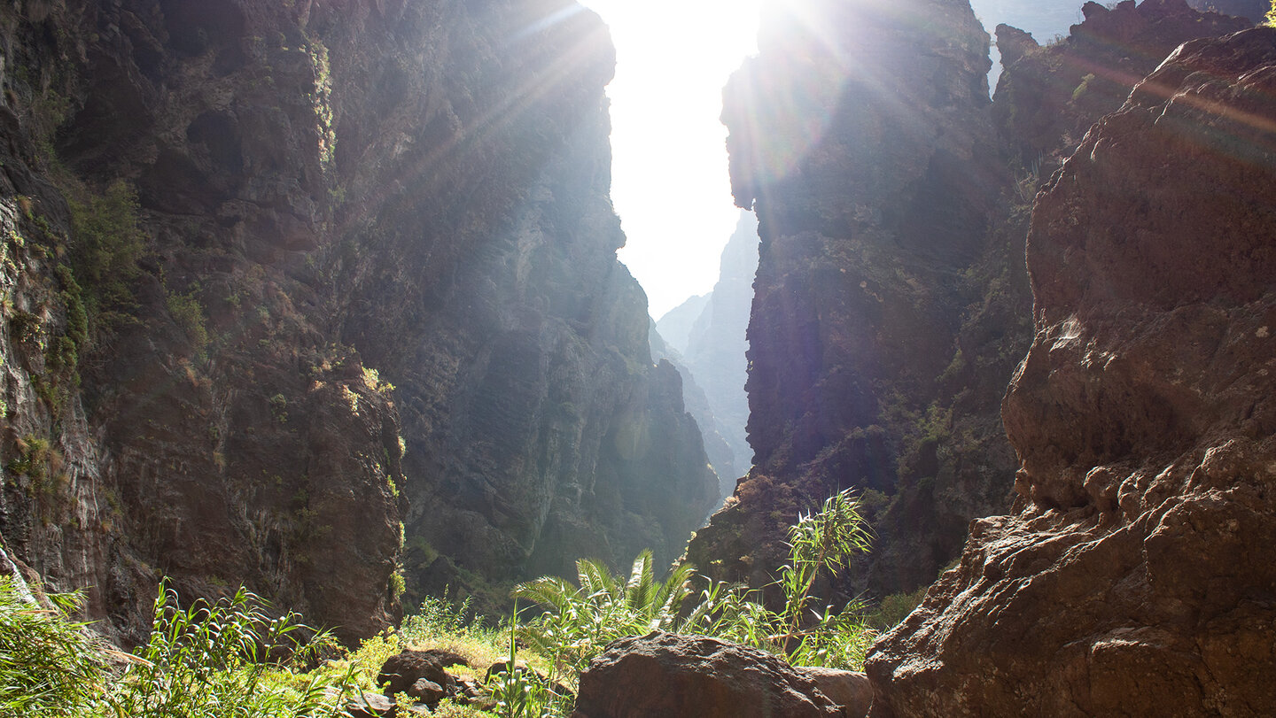 Wanderung durch die Masca-Schlucht im Teno-Gebirge | © Sunhikes