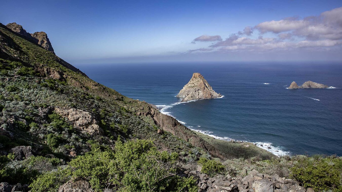 Wanderung Faro de Anaga: ein Klassiker auf Teneriffa | © Sunhikes