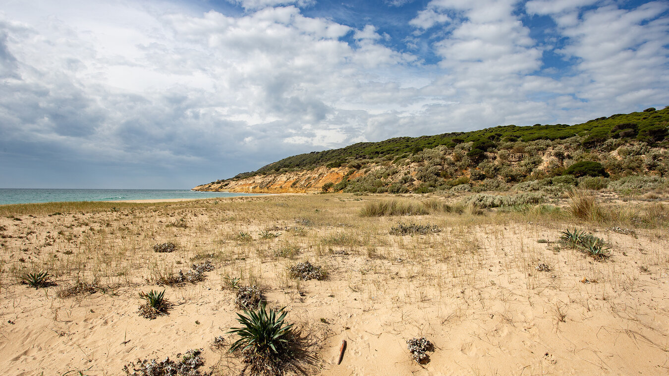 Küstenlandschaft im Parque Natural de la Breña y Marismas del Barbate | © Sunhikes