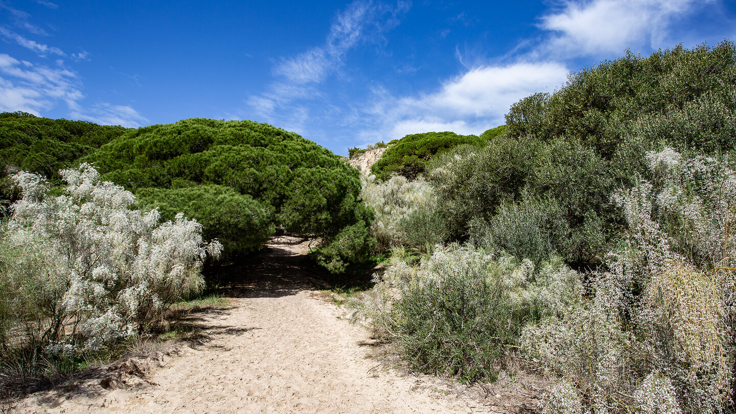 Sendero del Acantilado | © Sunhikes