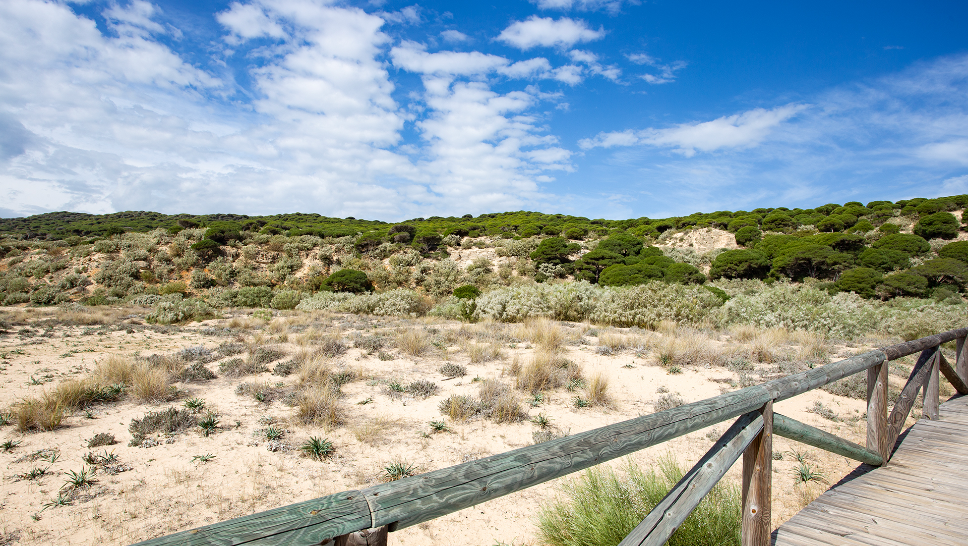 Küstenlandschaft im Naturpark La Breña y Marismas de Barbate  | © Sunhikes