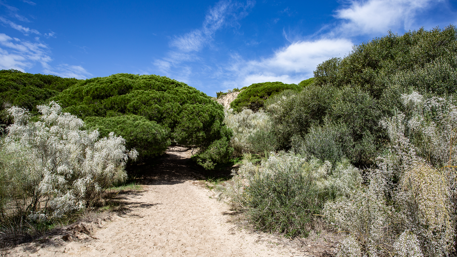 Sendero del Acantilado  | © Sunhikes