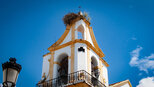 Glockenturm der Iglesia de San Telmo in Chiclana  | © Sunhikes