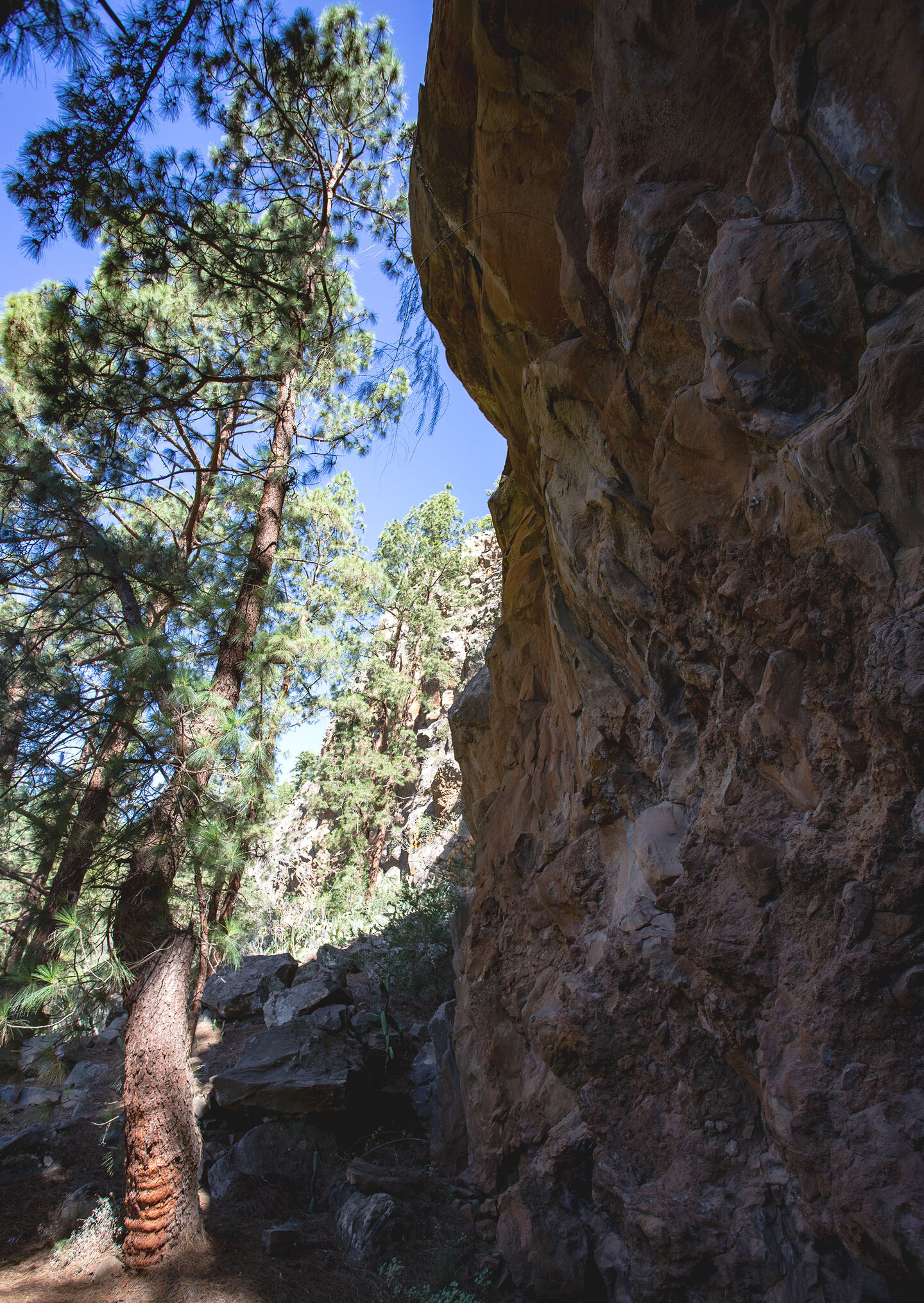 Wanderweg am Risco del Muerto | © Sunhikes