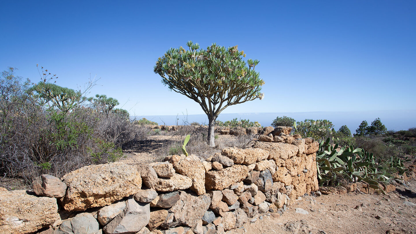 Trockenschichtmauern an aufgegebenen Terrassenfeldern | © Sunhikes