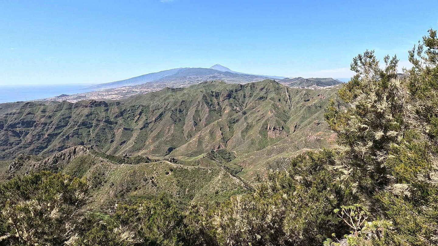 Panorama vom Mirador Pico del Inglés bis zum Teide | © Sunhikes