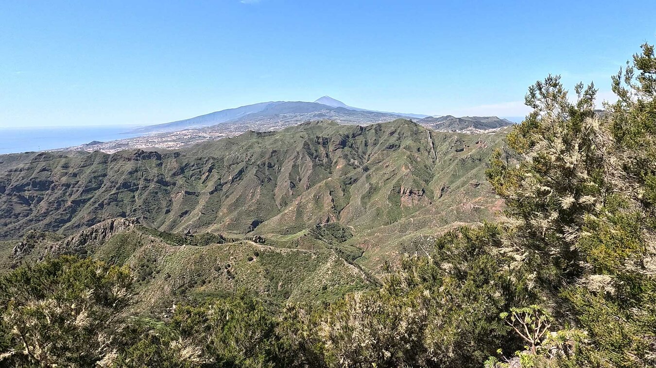 Panorama vom Mirador Pico del Inglés bis zum Teide | © Sunhikes