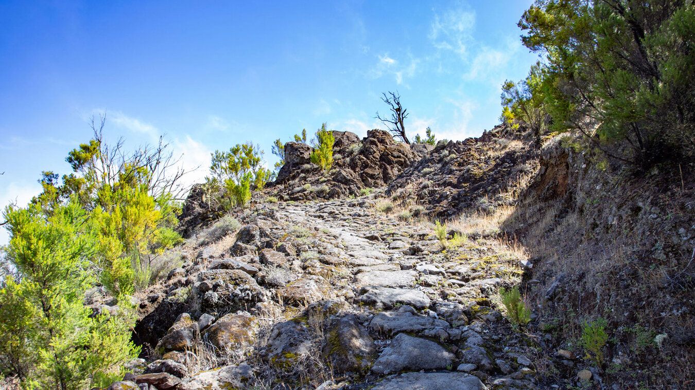 Aufstieg über den Camino de Sabinosa zur Cumbre | © Sunhikes