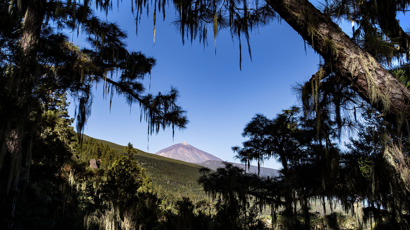 Wanderungen im Orotava Tal eröffnen traumhafte Ausblicke zum Teide | © Sunhikes