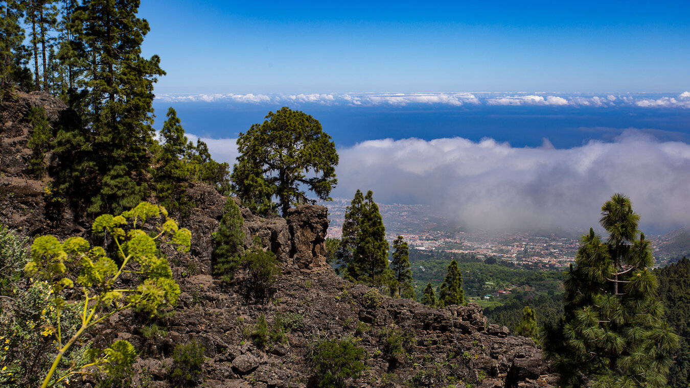 Blick zur Küste bei Puerto de la Cruz | © Sunhikes