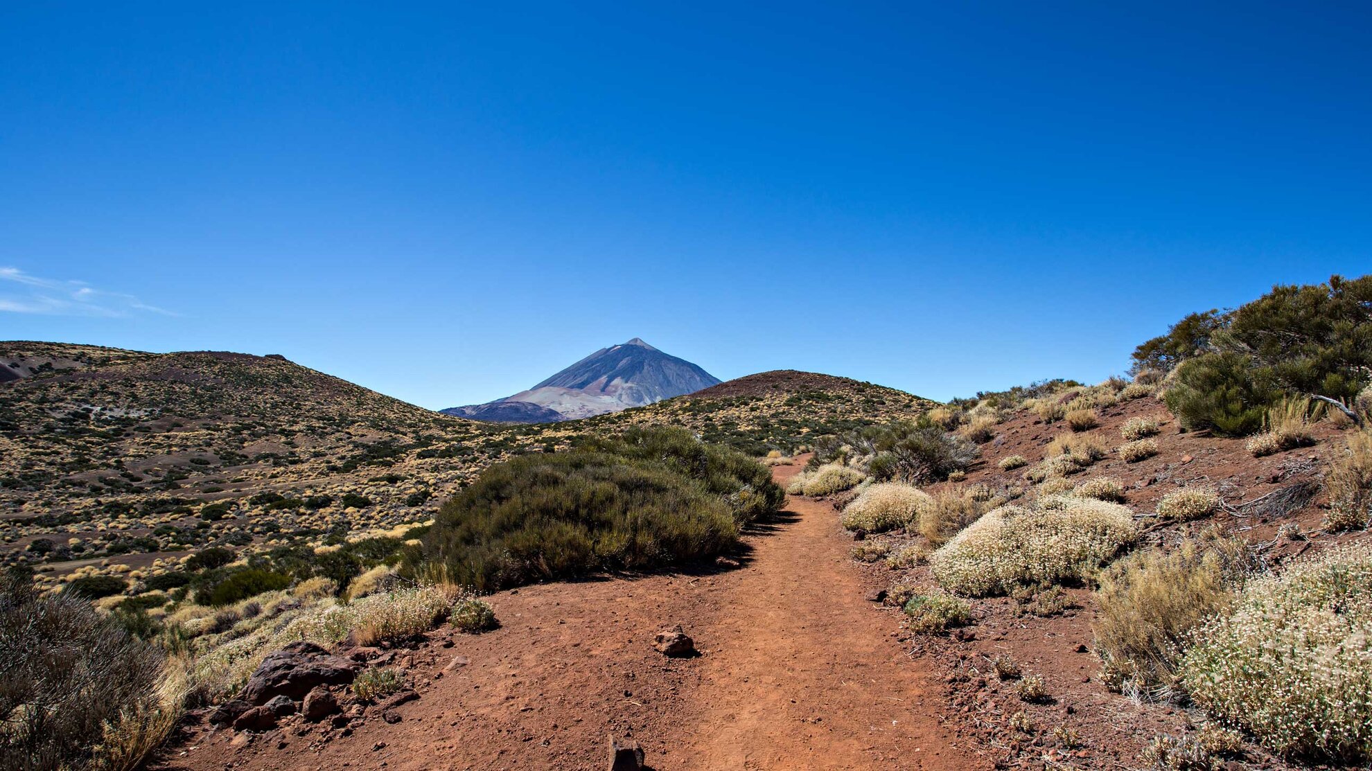 Wanderwege im Teide Nationalpark | © Sunhikes