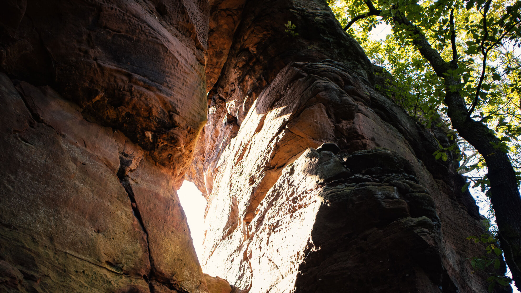 Wanderungen im Dahner Felsenland | © 	 SUNHIKES