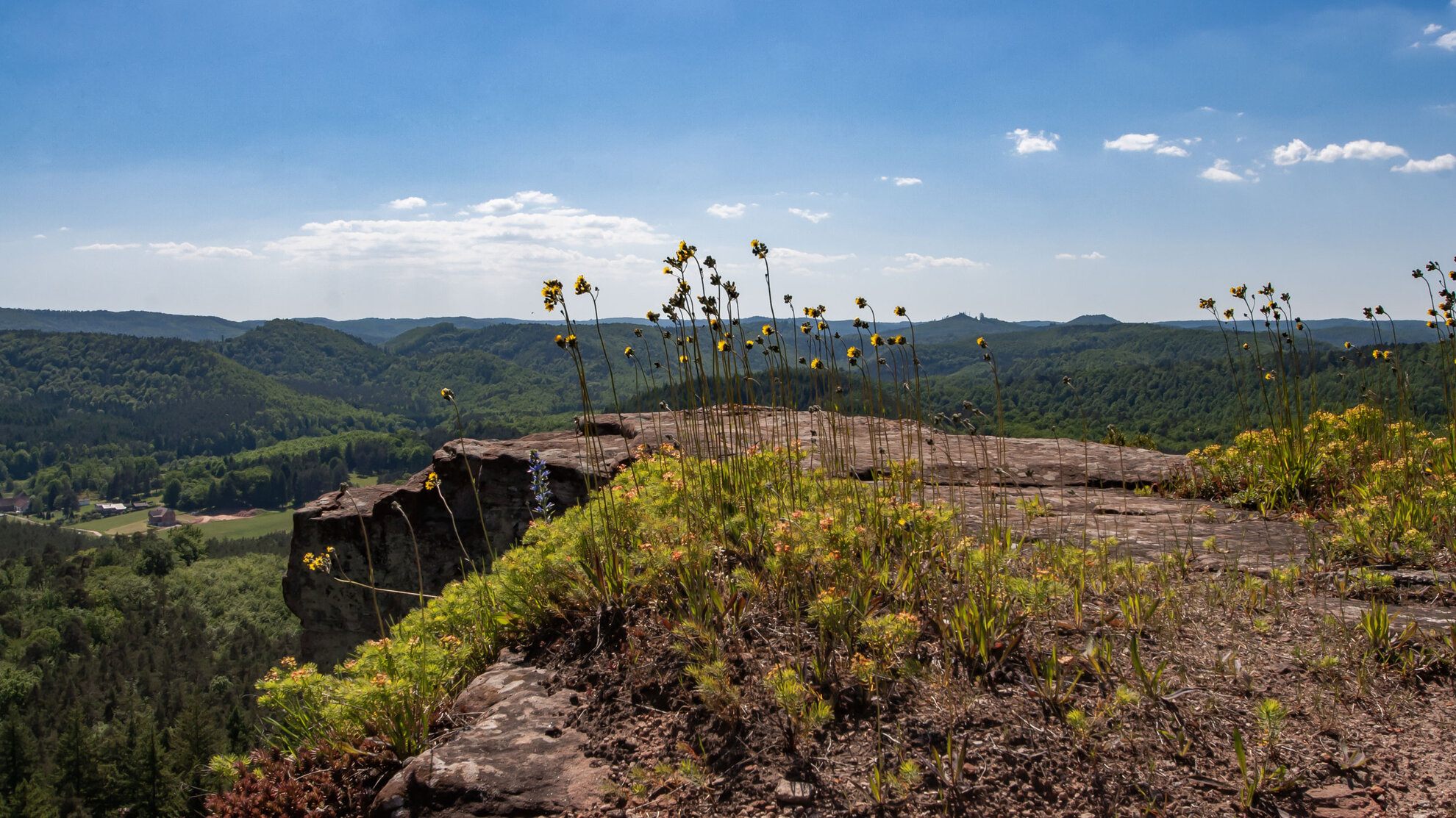 Wandern im Naturpark der Nordvogesen | © Sunhikes