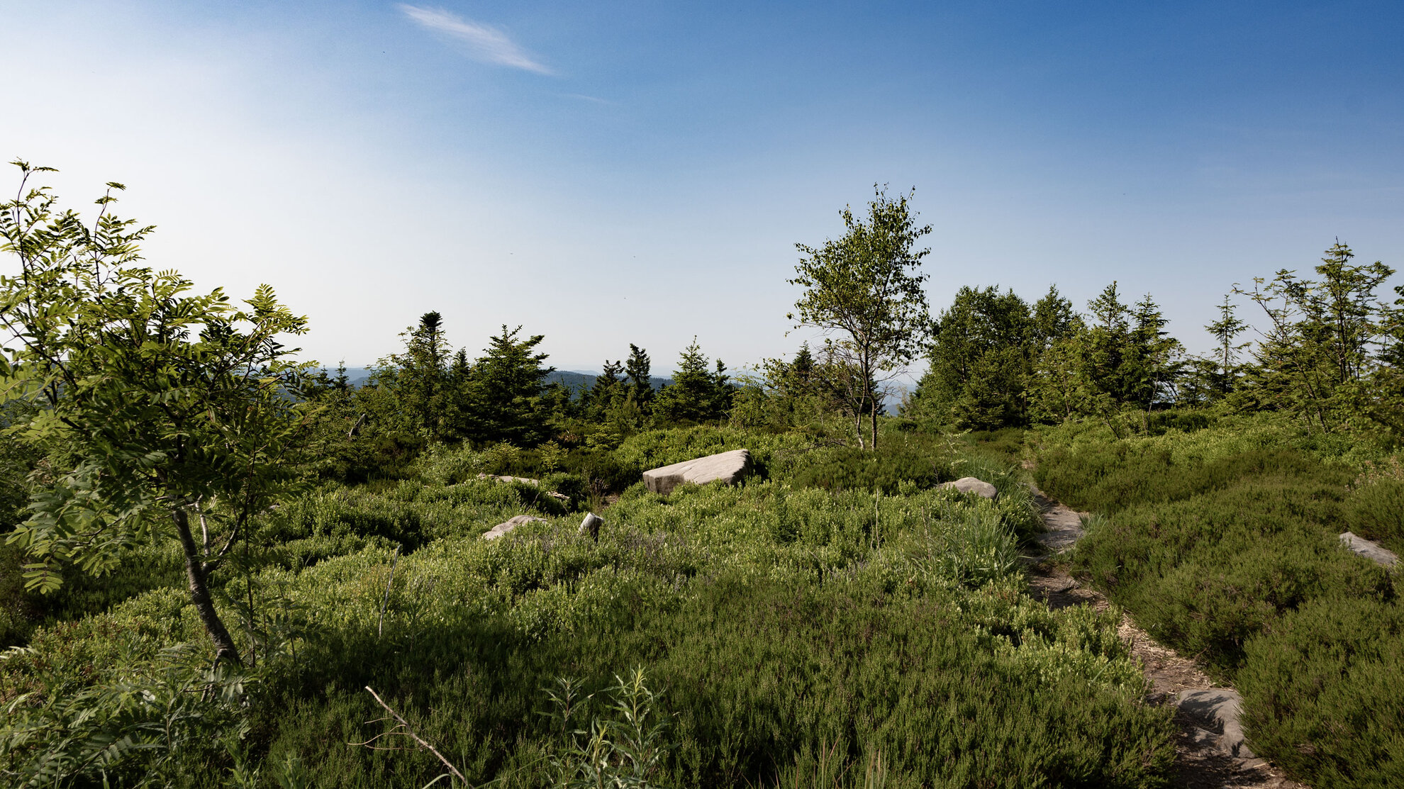 Wandern im Naturpark Schwarzwald | © Sunhikes