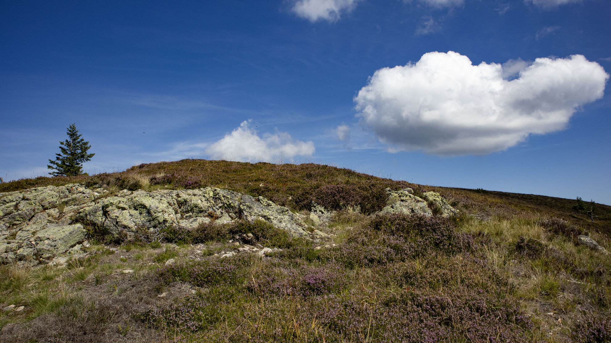 Wandern im Naturpark Südschwarzwald | © Sunhikes