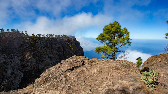 Wandern im Naturpark Tamadaba zu Roque Faneque | © Sunhikes