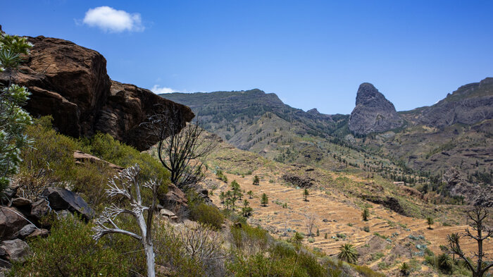 Wanderung in Benchijigua am Roque de Agando auf La Gomera | © Sunhikes