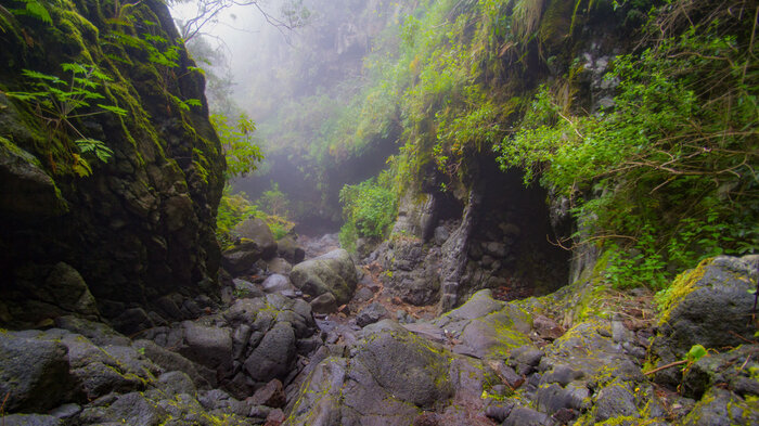 Wanderweg im Barranco del Agua im Naturpark Las Nieves | © Sunhikes