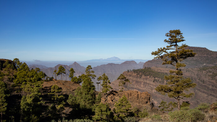 das Monumento Natural de Tauro bietet Panoramablicke bis Teneriffa | © Sunhikes das Monumento Natural de Tauro bietet Panoramablicke bis Teneriffa | © Sunhikes