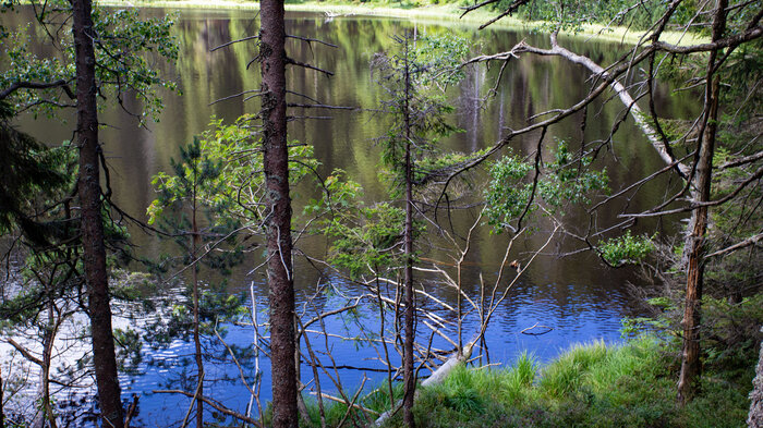 der Wildsee am Ruhestein | © Sunhikes