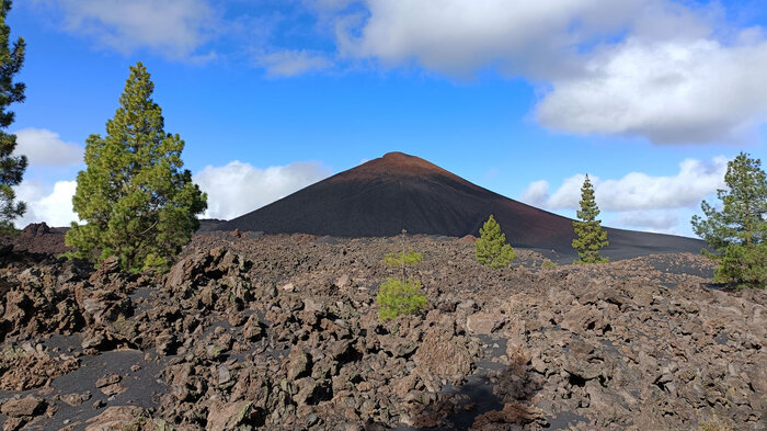 Lavafelder im Naturreservat Chinyero auf Teneriffa | © Sunhikes