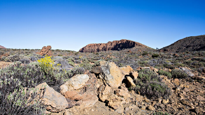 Wanderung zum Fortaleza im Teide Nationalpark | © Sunhikes